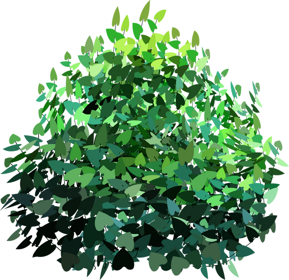 Green Bush Illustration