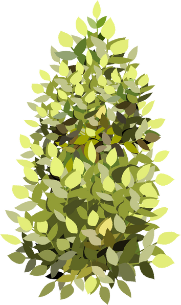 Bush Flat Illustration