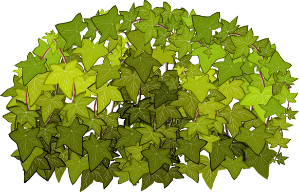 Green Bush Illustration