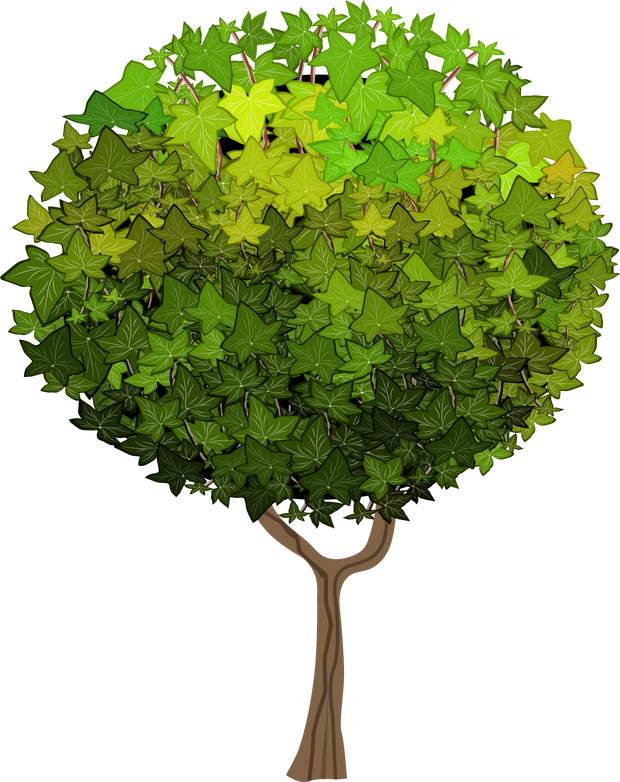 Green Tree Illustration