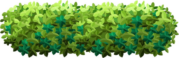 Bush Flat Illustration