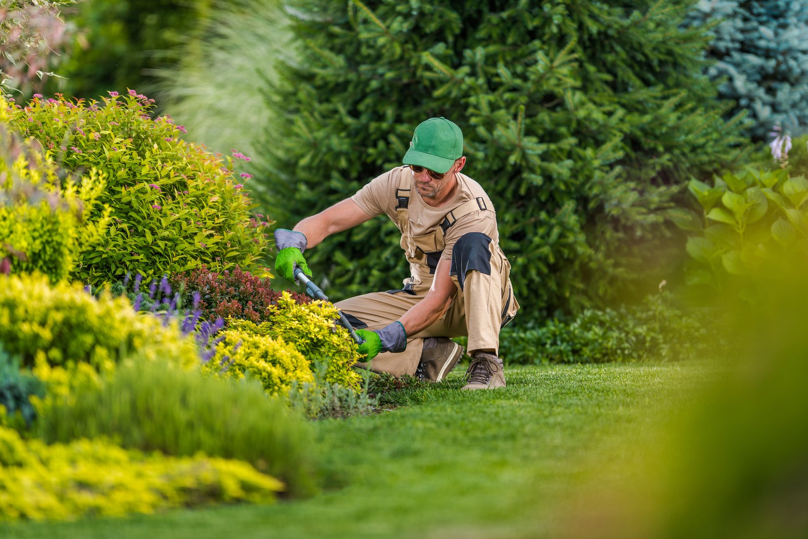 Professional Gardener Pruning Bushes and Shrubs